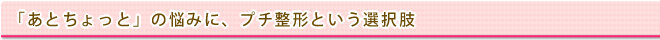 あとちょっと・・・の悩みに、プチ整形という方法