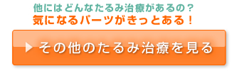 その他のたるみ治療を見る