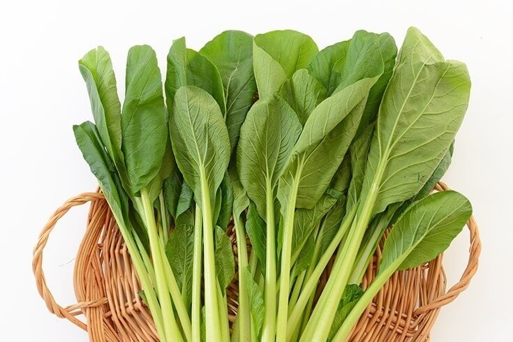 その体脂肪、減らしたいなら葉野菜を食べるべき♪
